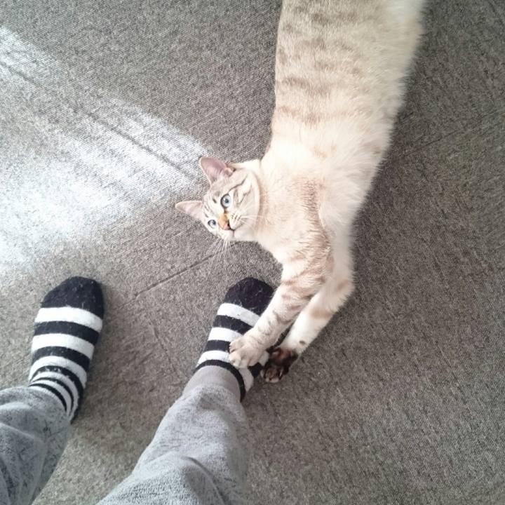 7c8c7d23 f060 4ecd b2e3 615c74a1a73d