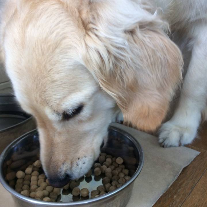 7c8c8708 0a3e 4ba7 aa5d 2daacaa417e7