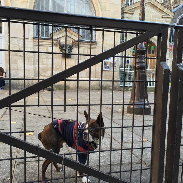 7c8c90c9 8304 4f1b 81b5 440a2e7b8d0f