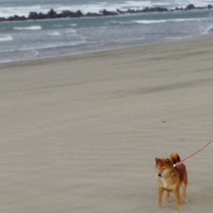 7c8cd68c f602 43a9 a498 e4986ce27954