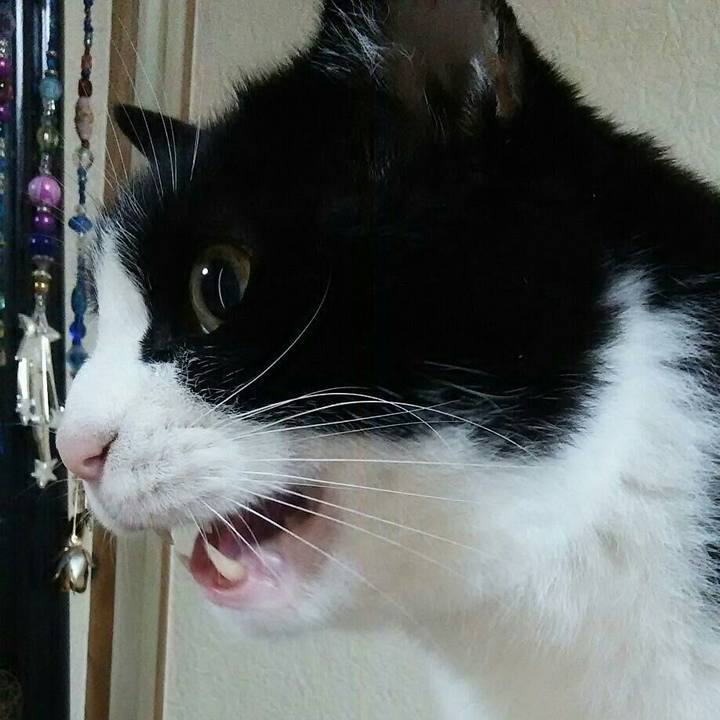 7c8d5ee5 de32 49f1 b047 22b76cbc4e61