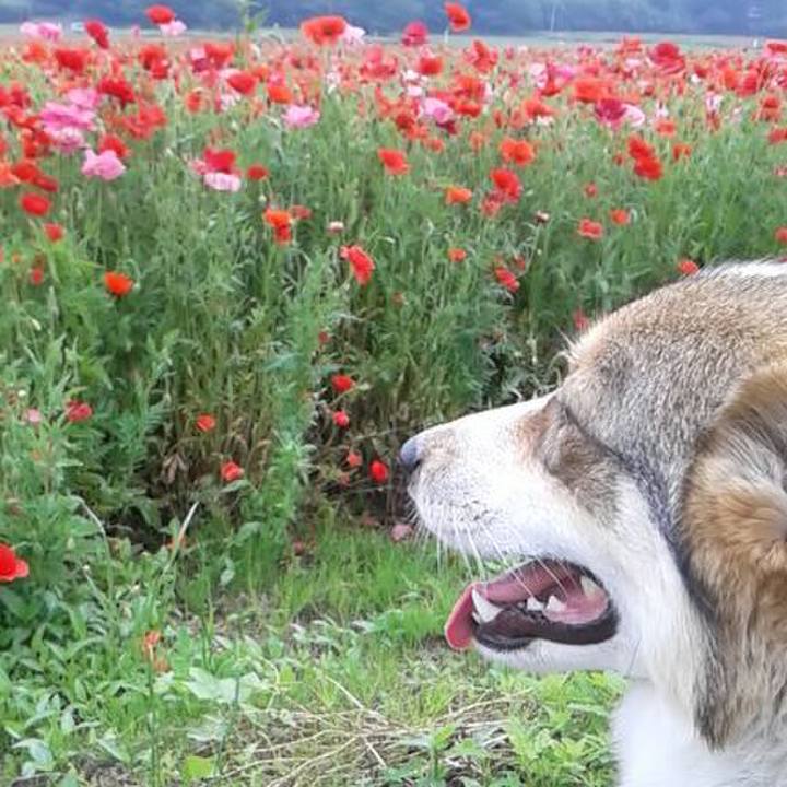 7c8d9808 b889 4479 ab10 6dfb3f5c4fa2