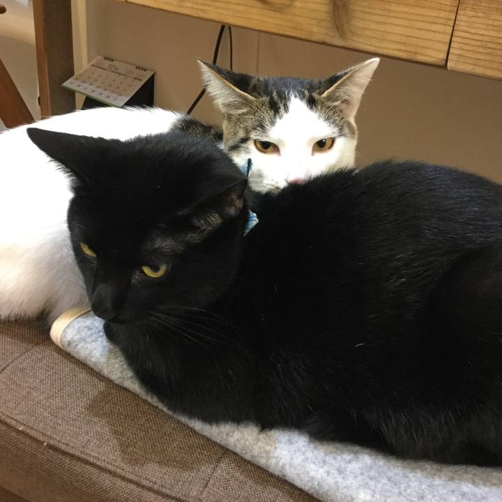 7c8dc202 7e63 459f bab3 323683814ca4