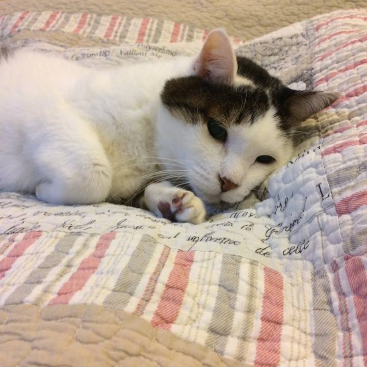 7c8df2ae f94f 4411 92f2 d94a9031ec9c