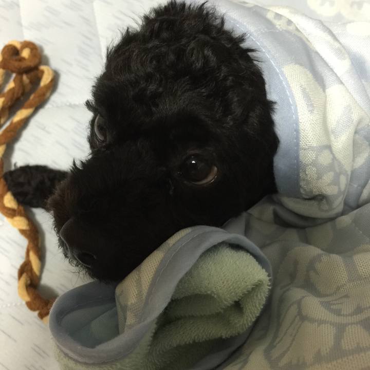 7c8e0397 dd6d 4124 9b2e 6447fa37072e