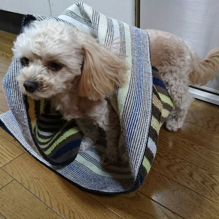 7c8e78f7 f33e 42b2 b91e d88370d5f58d