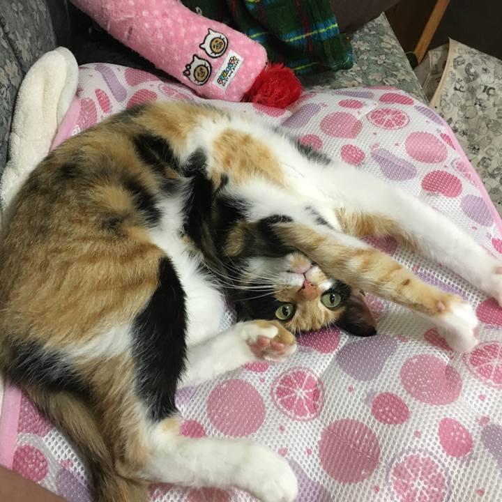 7c8ec7f1 167e 4548 ad0f 8a588f03a4a0