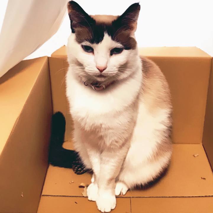 7c8ef3ce d7cd 450c 9573 cd381b6341cc