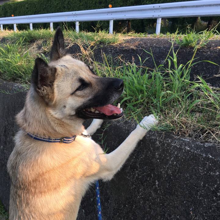 7c8f89e3 6092 417f 8932 2a8b71563368