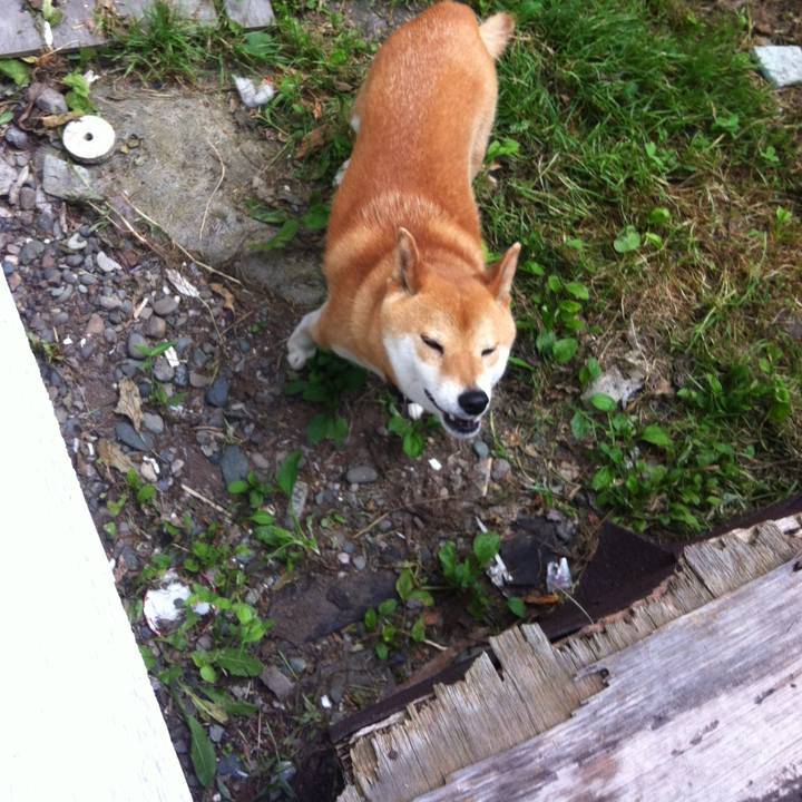 7c8f9608 c545 47ea 9c32 fa24bb0828e8