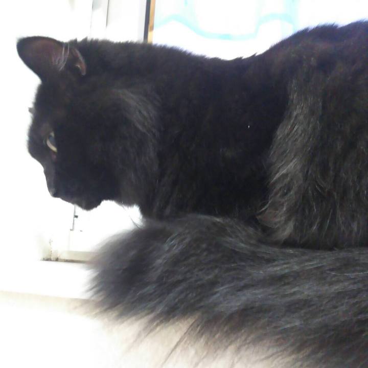 7c902527 350a 4a10 8084 d5418de680dc