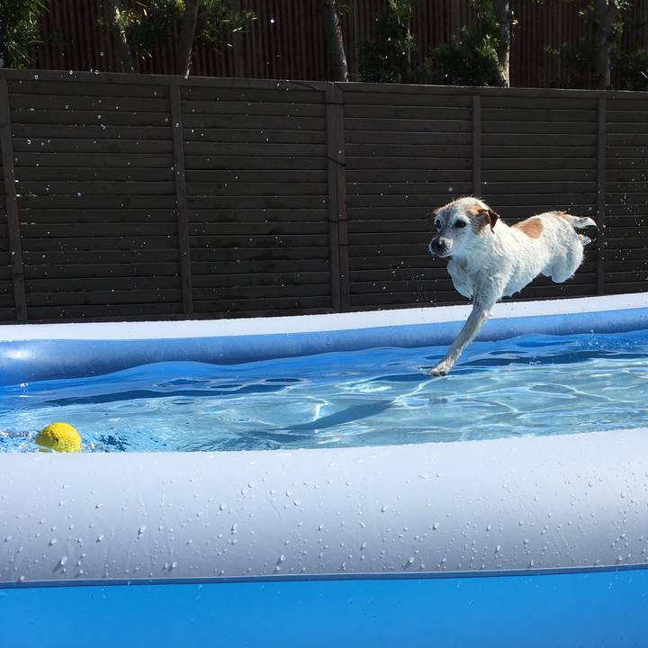 7c90b07d 3ce6 4bf6 a72f f5399283ed78