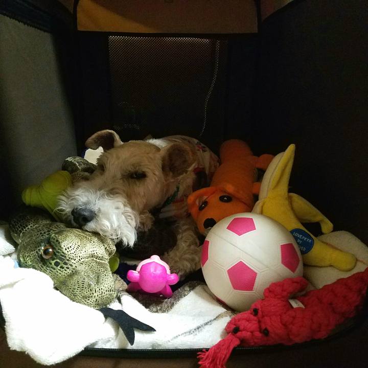 7c90e931 a2cd 4097 aa47 773e2833687c