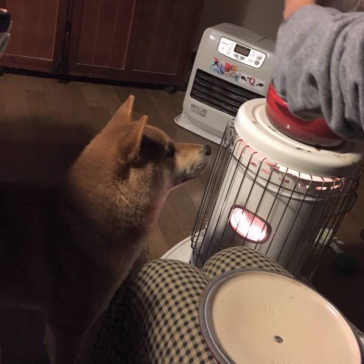 7c91eb79 f5a6 48d1 869b 6bfde0941fa0