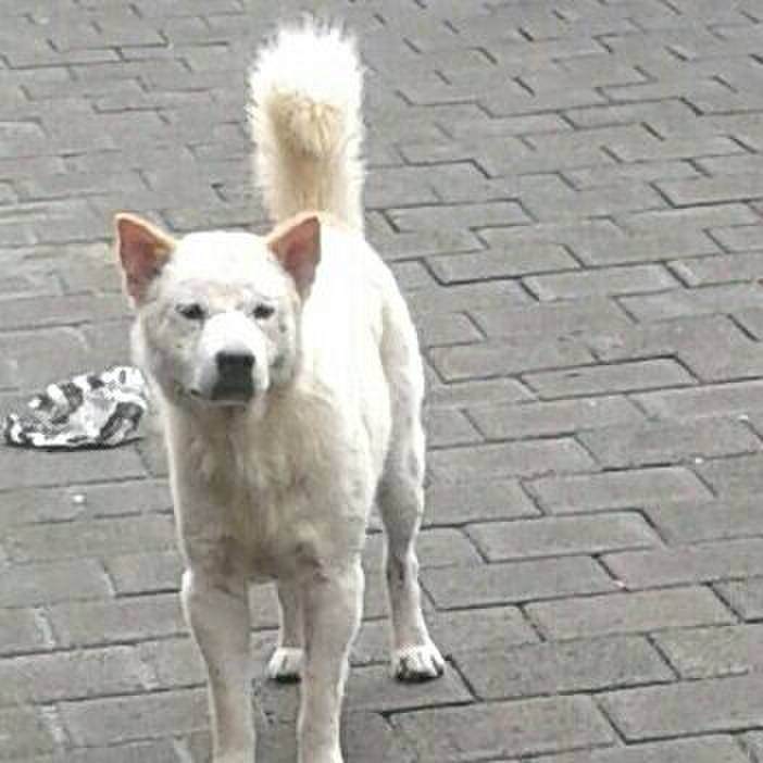 7c91fcef ece2 46f4 98d8 8a37c51d52bf