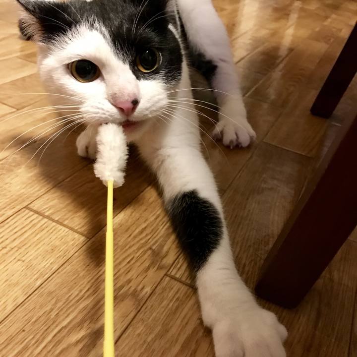 7c9230fe de91 474b 8031 db050b83dc2a