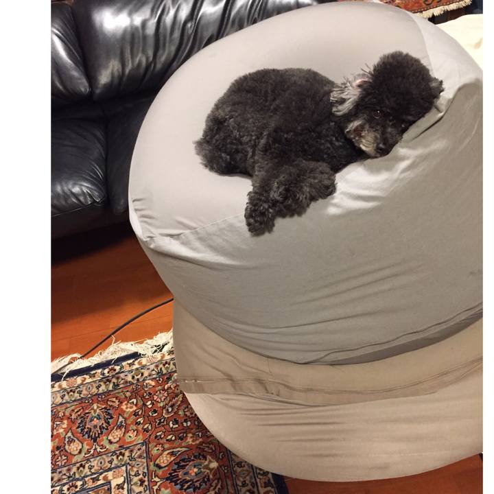 7c92f98c 4dd4 4633 9593 e16089a8ea84