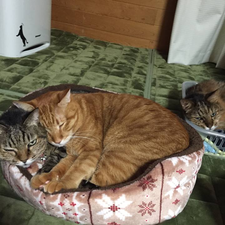 7c93eaea ca1d 4e28 8b5d 30c54bce3ec8