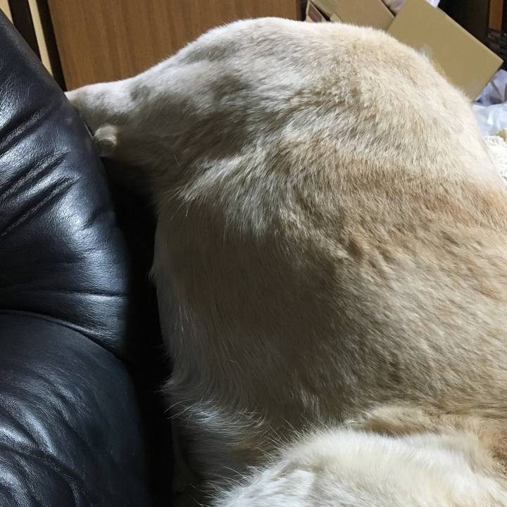 7c940243 6f2c 408a a5f6 b989e1541dc2