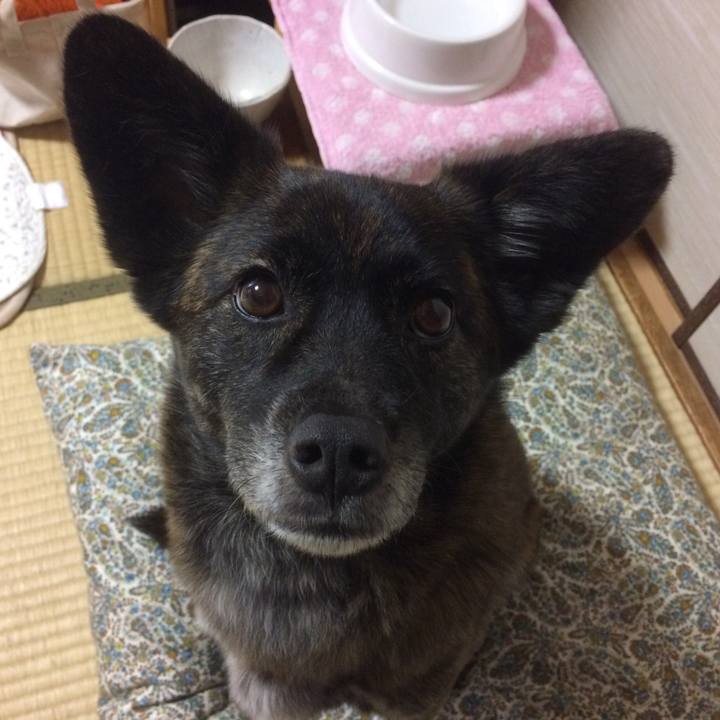 7c942fb7 f677 4718 9129 cf5729c46c39