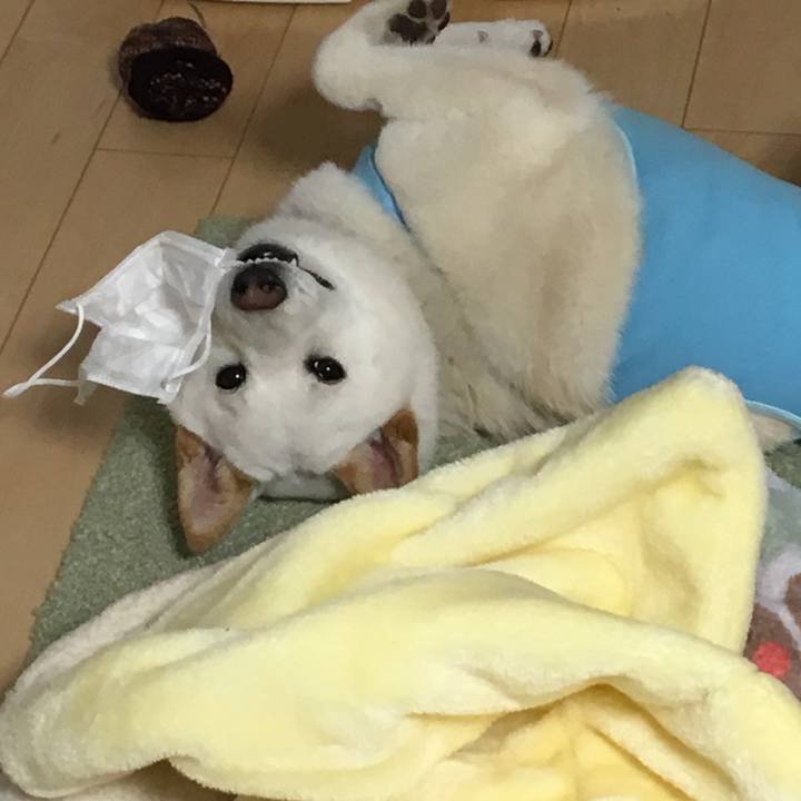 7c948ed4 ed7f 49bc 9e04 06ef1d99ae75