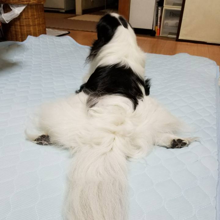 7c949e2f bb71 4e7b 883b d71d1a60d7a7