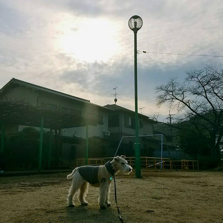 7c94dec4 7f06 4fdf aa22 8b2ebaa0c061