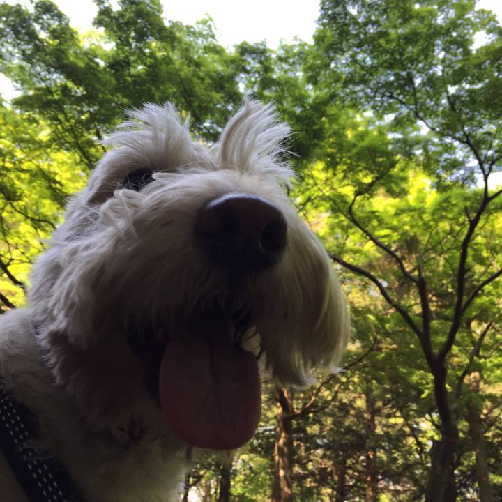 7c94ea29 7f55 4116 8539 a71c325a8038