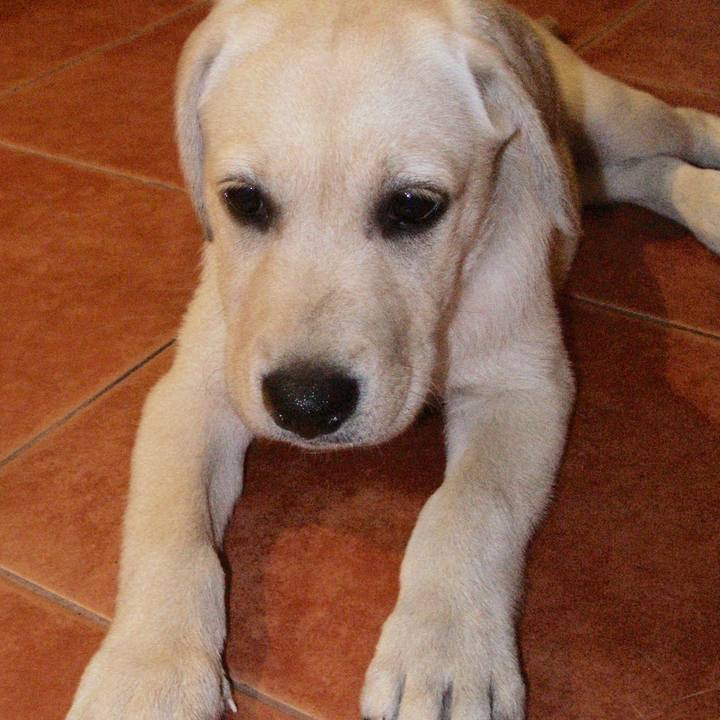 7c95e92e 6557 428e 8bf0 bf1928be6360