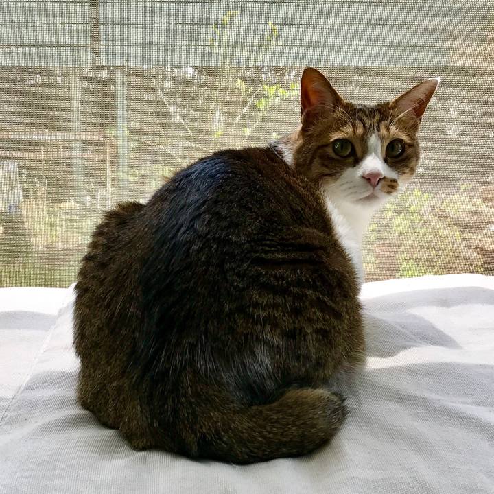 7c9620d4 029d 4797 b4c5 771c2f2e5bf2