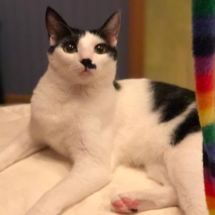 7c9630ff d4c4 4cb5 872b f113445752f5