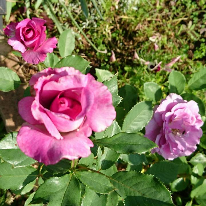 7c96466f d70f 47a1 937c 2c622e2d8be5