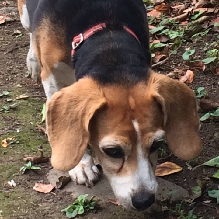 7c966bef 20f2 4e24 9db5 ccdc93495235