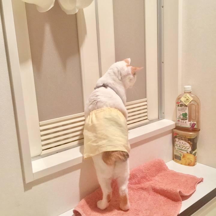 7c9717eb 6517 4a73 8240 10c2d511b768