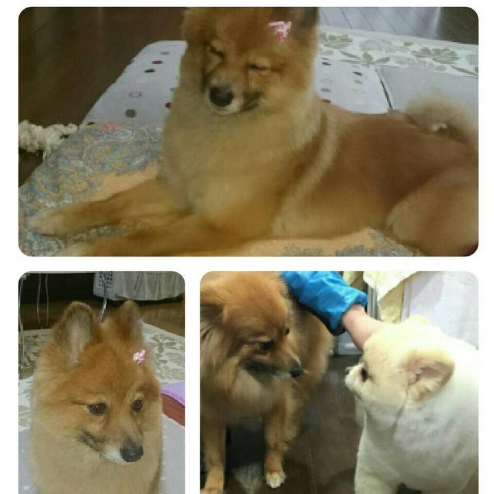 7c973cb7 f956 4b02 b061 28e64a564c0f