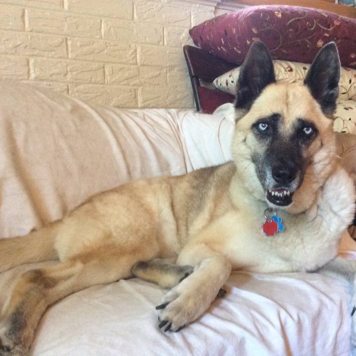 7c97a8b4 1257 45f7 89a0 26b9c24b2f7c