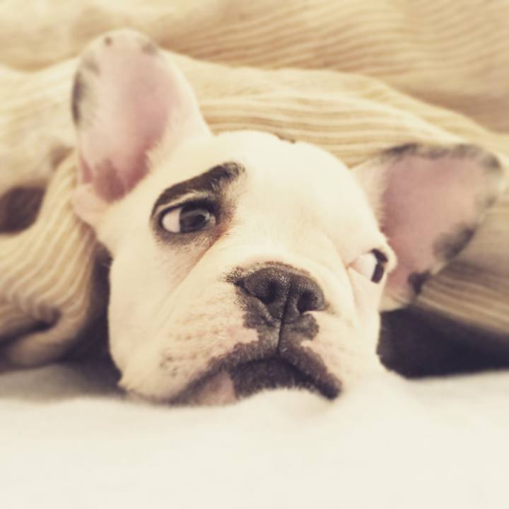 7c97ae2c a7de 482c 9d28 946e2fe2b407