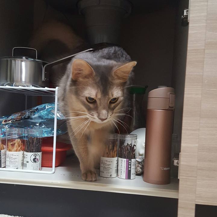 7c97cb75 67e3 4def a6dc 40d629568d7f