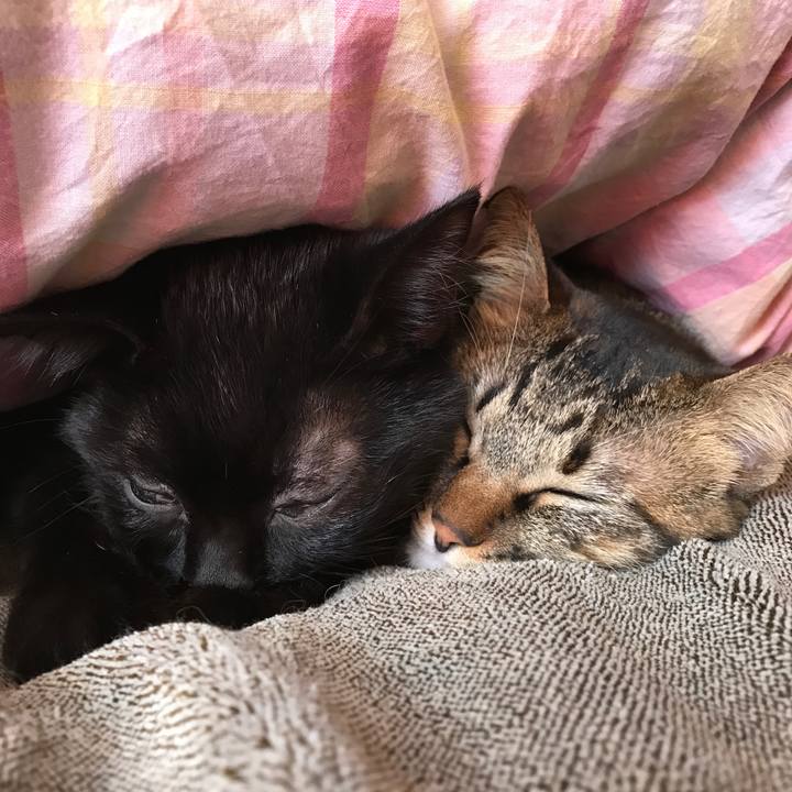 7c97d78d 8762 4e25 98eb f915d79bfc23