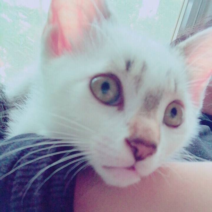 7c98da4b ba14 4f40 a40b d181398e557f