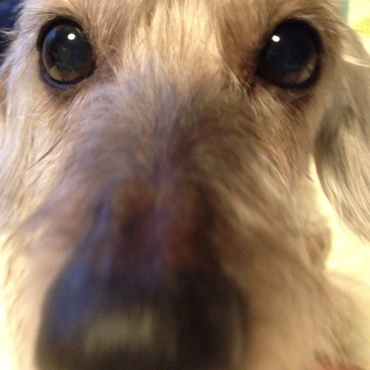 7c999590 7de7 44b7 85d5 3efb3e5a5600