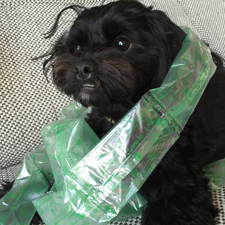 7c99b28b 142f 465c b1e5 1034324ec362