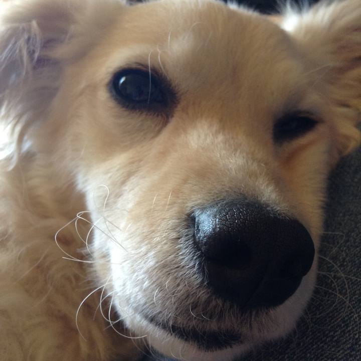 7c9a51e4 bc00 4e7d a447 17e968011138