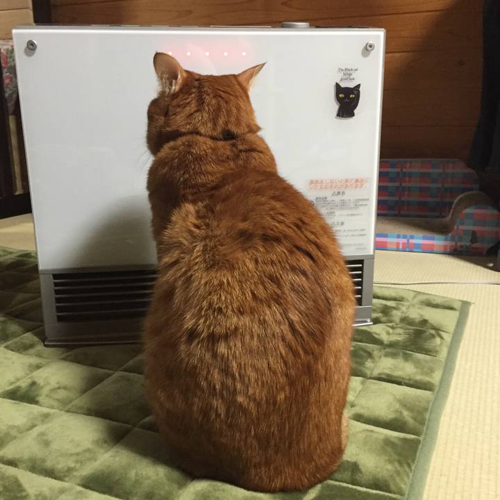 7c9a94bf 5373 4677 b957 486db9870ba5