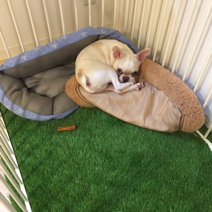 7c9a992d 6d31 4db3 b360 abc9d8c990af