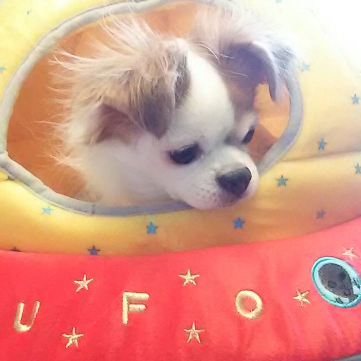 7c9b724e a934 42cf a50d a6e5a98707a4