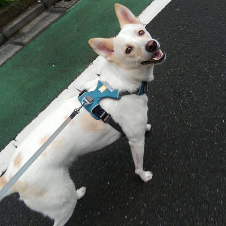 7c9cdb1e 9e52 4cef b02a acff0c37d2ba