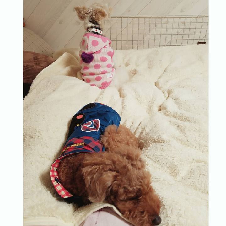 7c9d826b 47e6 4859 8898 866d82de06ff