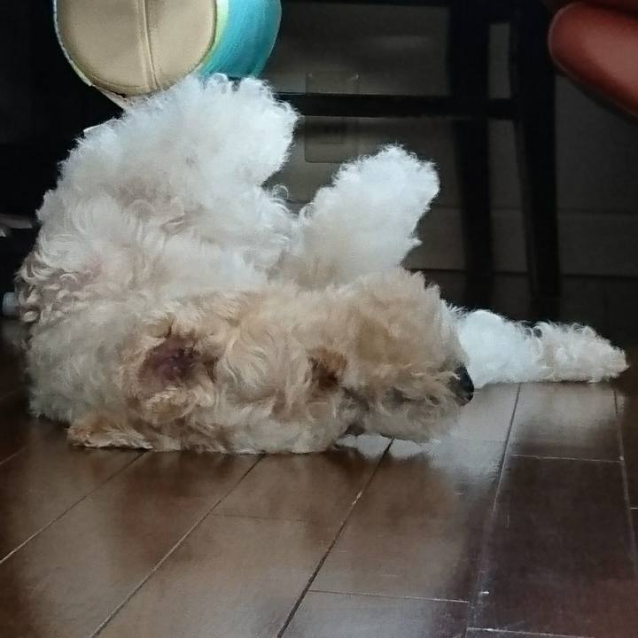 7c9db2c6 e745 4bf7 8bf8 cd0945945414