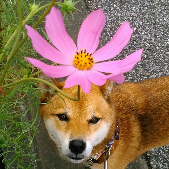 7c9dcfe8 dc31 41e7 b8ad 0f63f50c86d1